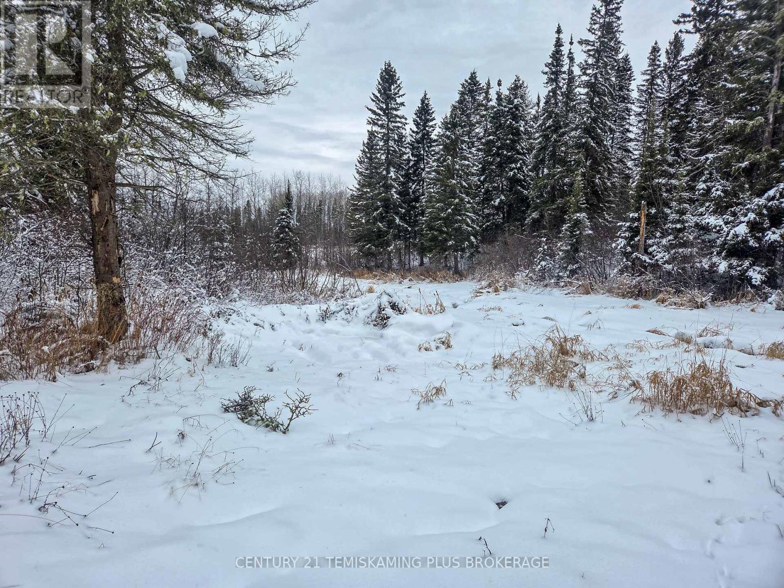 5122 112 Highway, Kirkland Lake, Ontario  P0K 1T0 - Photo 26 - T12577154