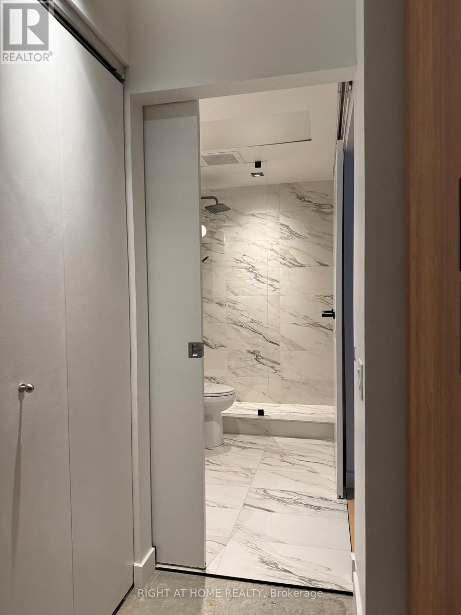 301 - 29 Camden Street, Toronto, Ontario  M5V 1V2 - Photo 17 - C12577118