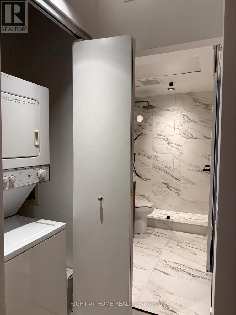 301 - 29 Camden Street, Toronto, Ontario  M5V 1V2 - Photo 18 - C12577118