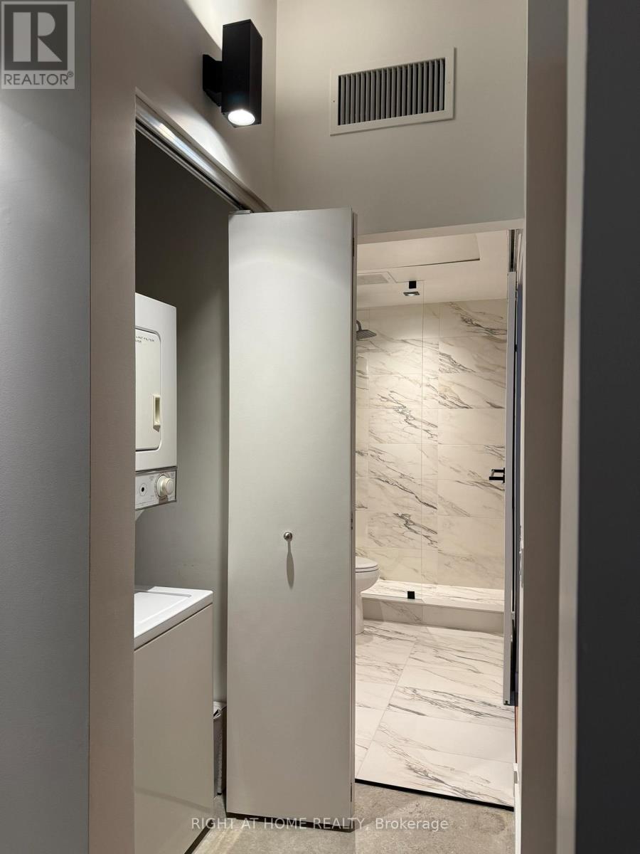 301 - 29 Camden Street, Toronto, Ontario  M5V 1V2 - Photo 19 - C12577118