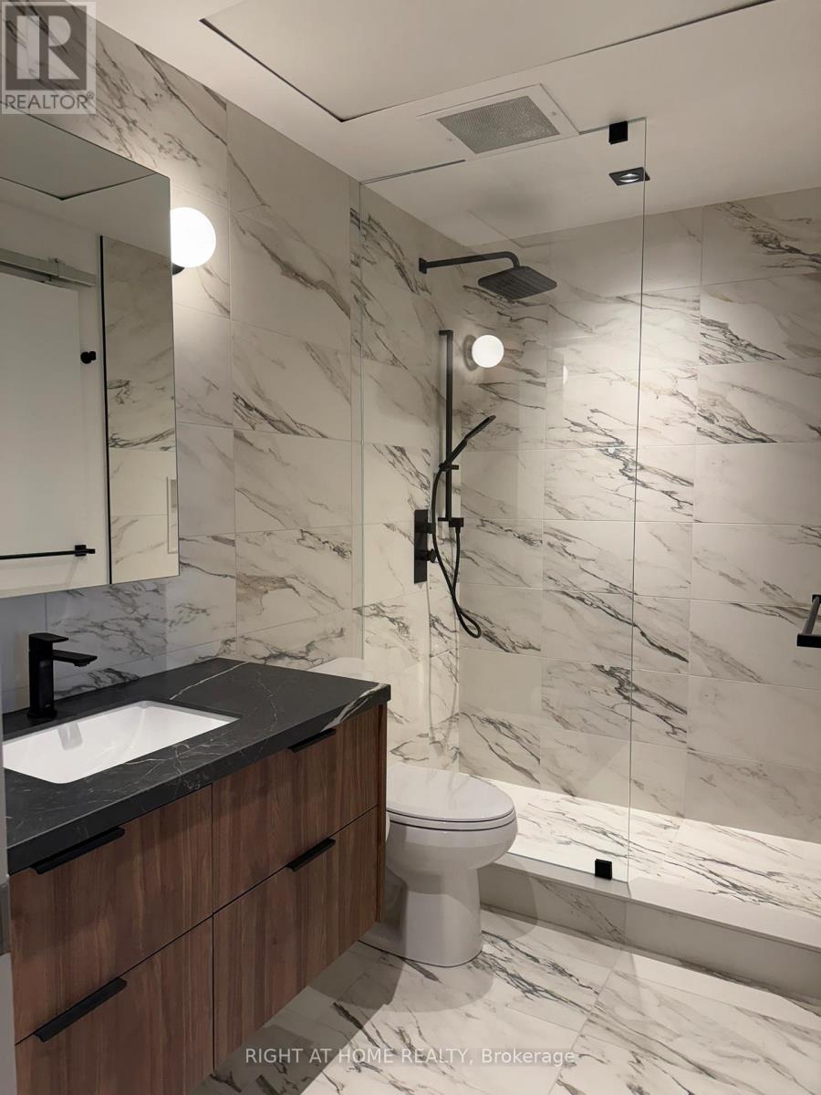 301 - 29 Camden Street, Toronto, Ontario  M5V 1V2 - Photo 20 - C12577118