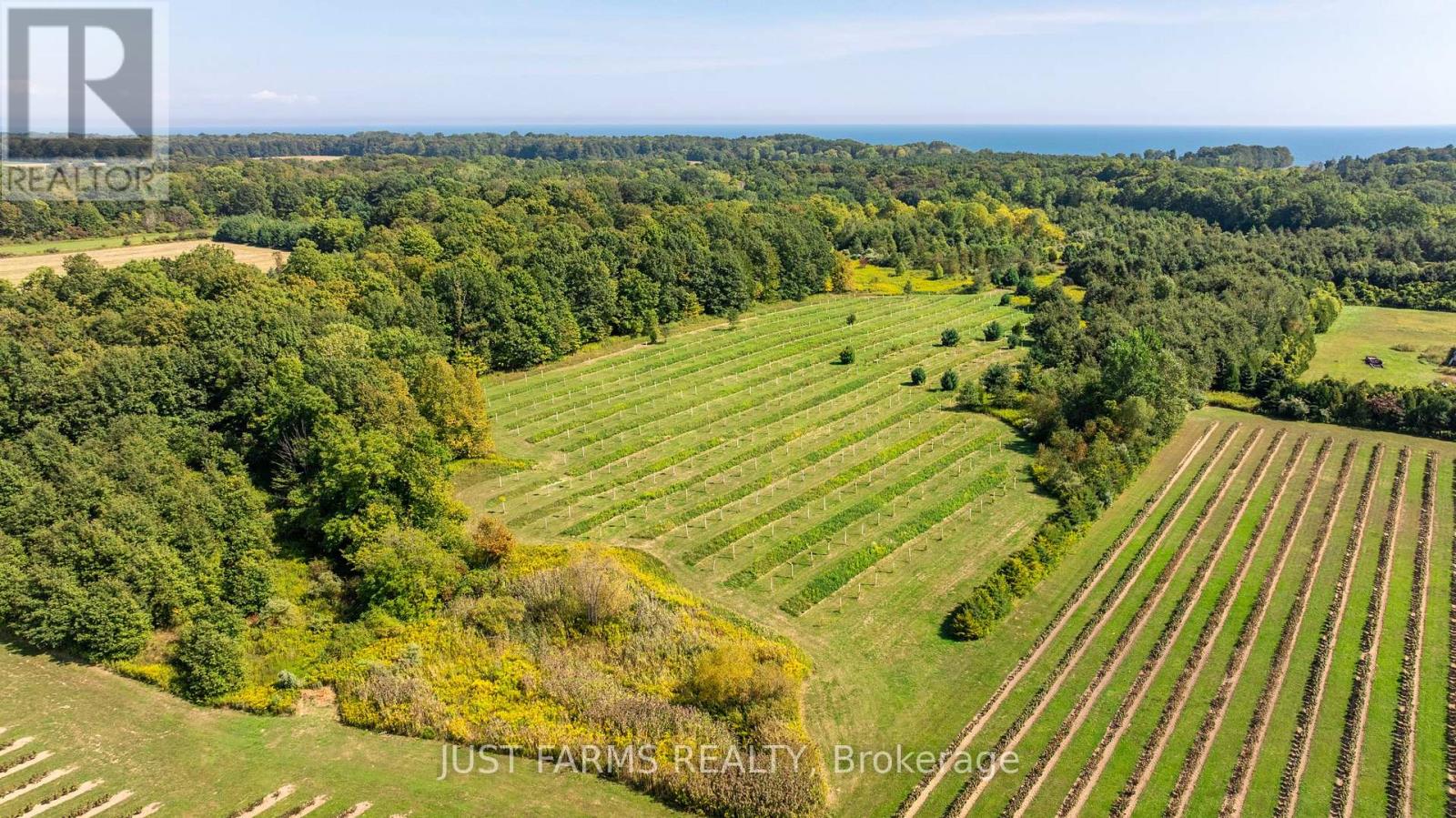 22889 Talbot Line, West Elgin, Ontario  N0L 2C0 - Photo 15 - X12404703