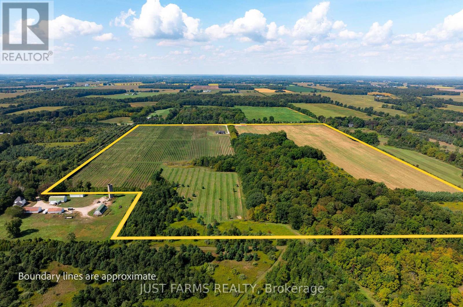 22889 Talbot Line, West Elgin, Ontario  N0L 2C0 - Photo 6 - X12404703