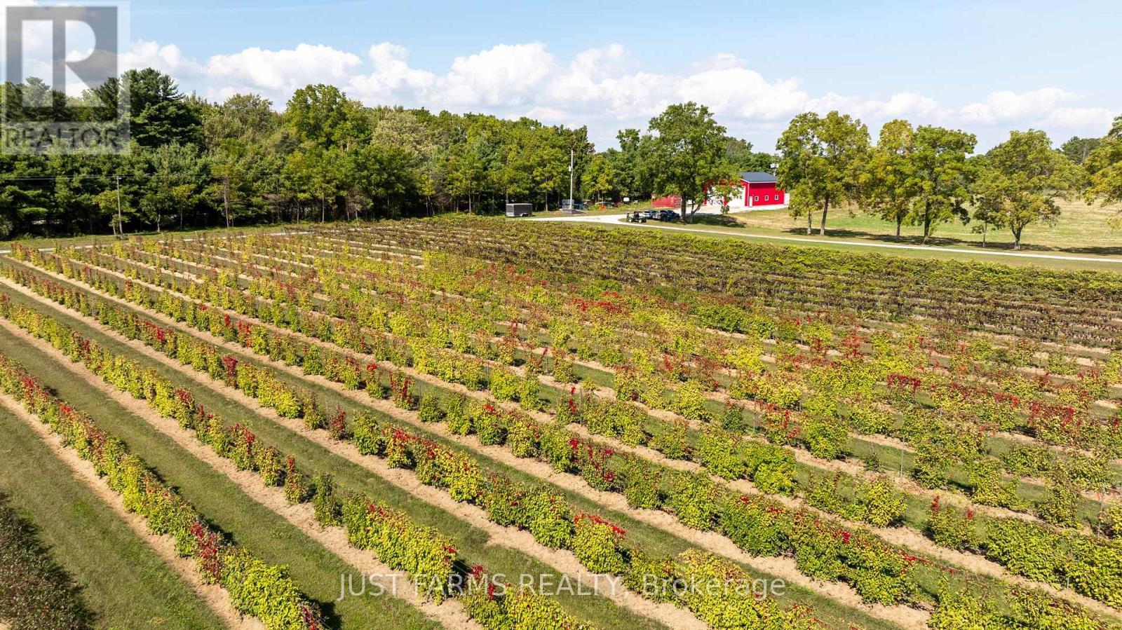 22889 Talbot Line, West Elgin, Ontario  N0L 2C0 - Photo 16 - X12404703