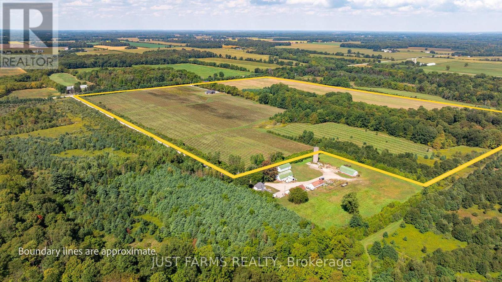 22889 Talbot Line, West Elgin, Ontario  N0L 2C0 - Photo 5 - X12404703