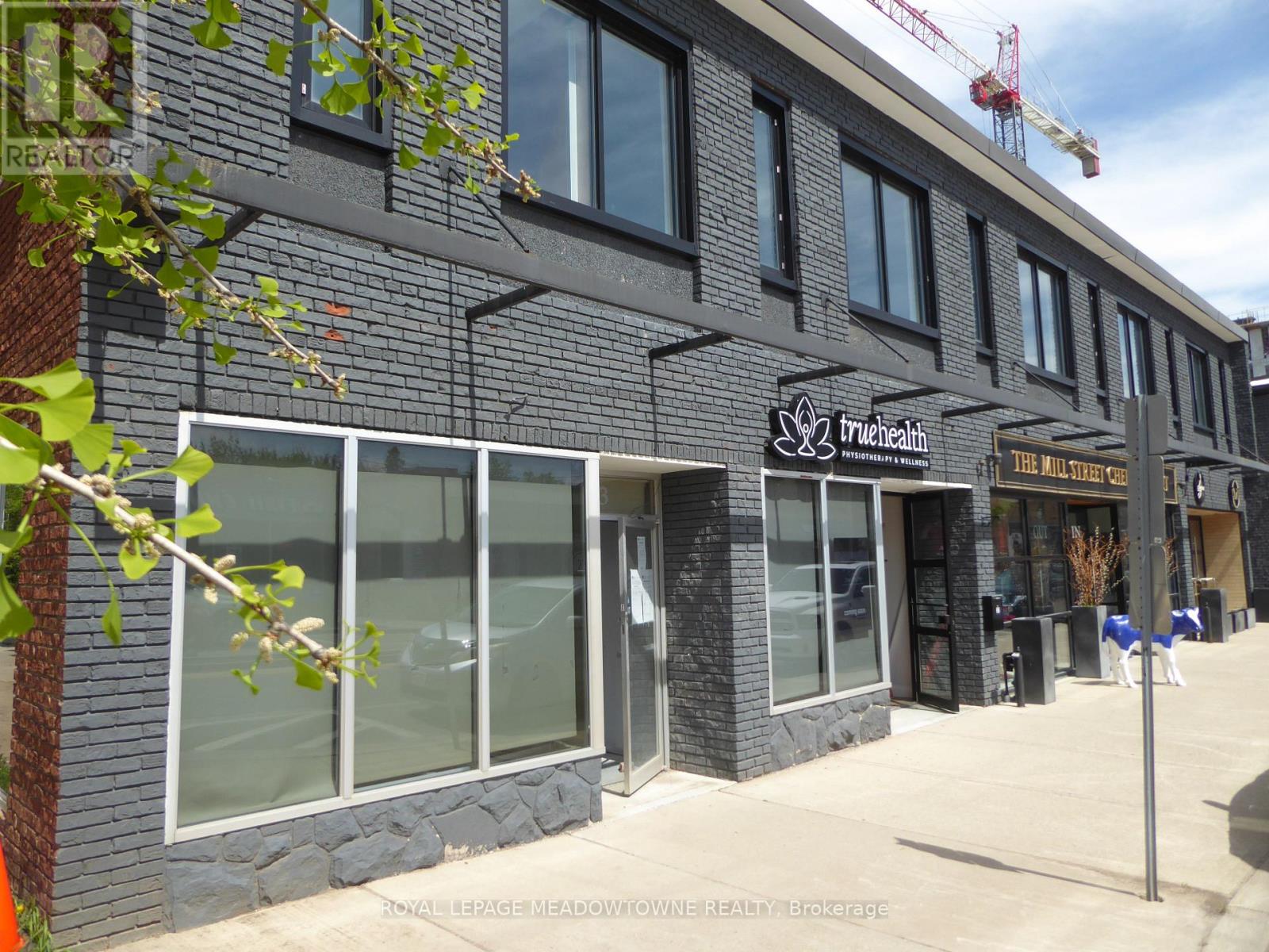 Suite M - 37 Main Street S, Halton Hills, Ontario  L7G 3G2 - Photo 21 - W12573406