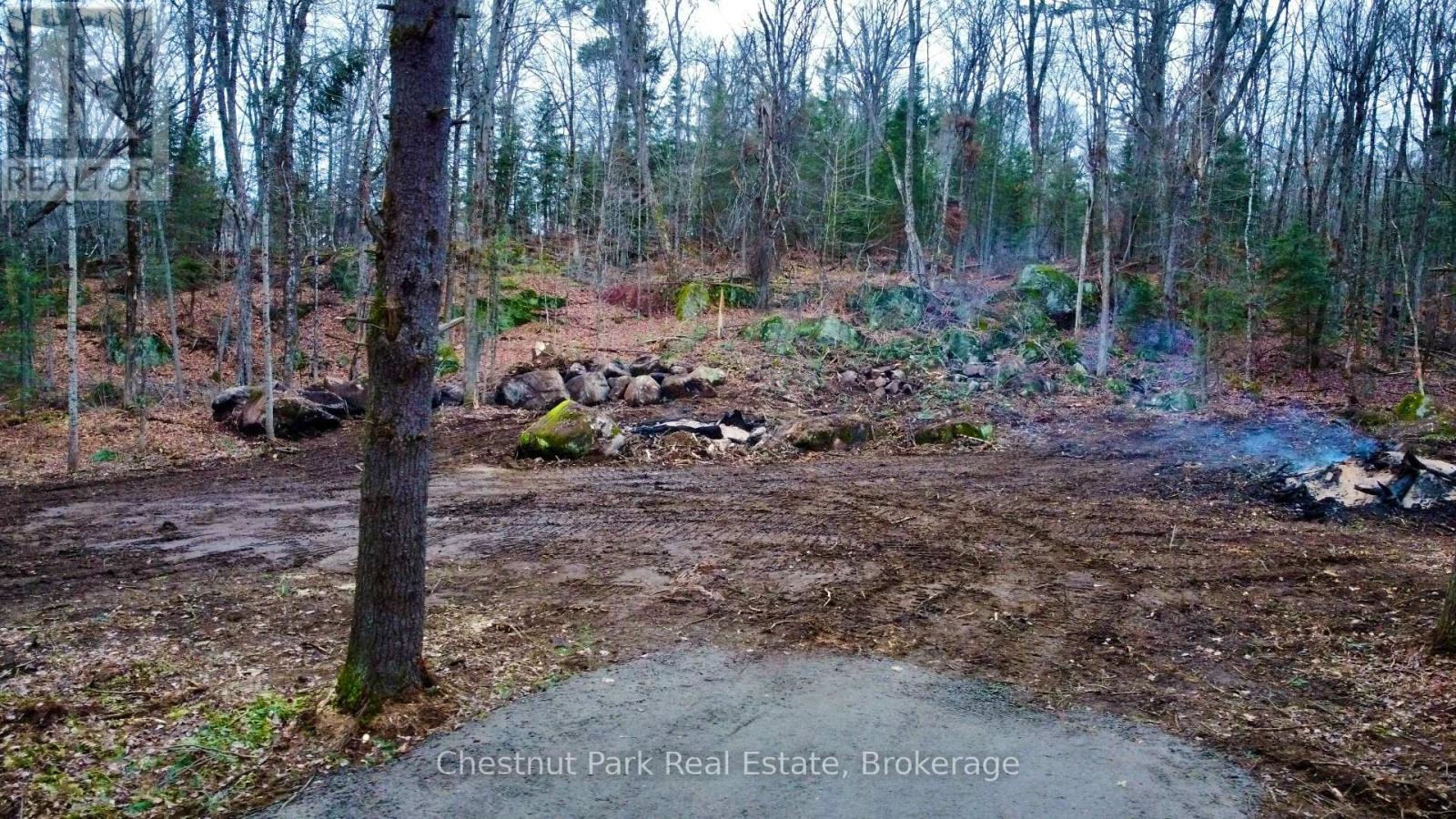 0 Germania Road, Bracebridge, Ontario P1P 1R3 - Photo 3 - X12577286