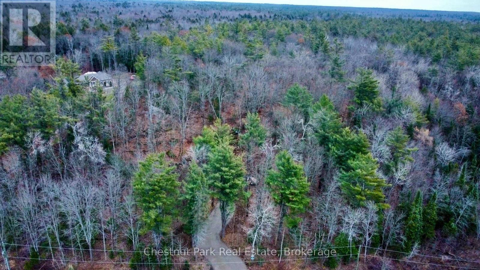 0 Germania Road, Bracebridge, Ontario P1P 1R3 - Photo 4 - X12577286