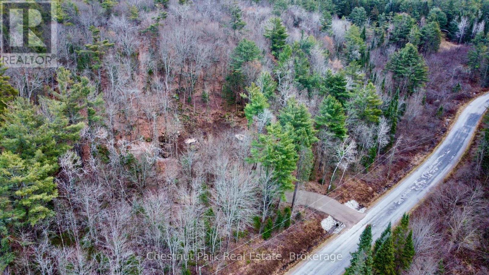 0 Germania Road, Bracebridge, Ontario P1P 1R3 - Photo 6 - X12577286