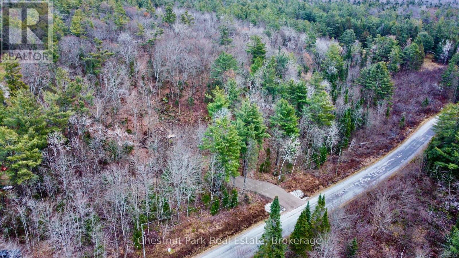 0 Germania Road, Bracebridge, Ontario P1P 1R3 - Photo 7 - X12577286