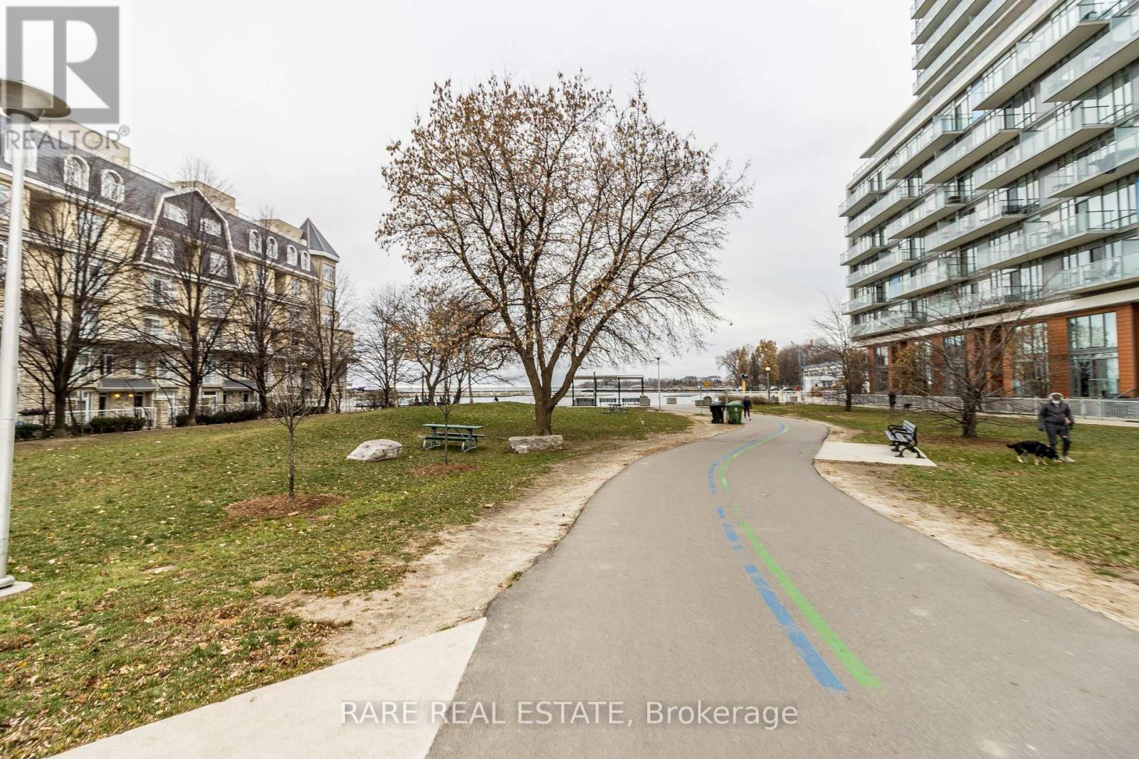 527 - 90 Stadium Road, Toronto, Ontario  M5V 3W5 - Photo 39 - C12577366