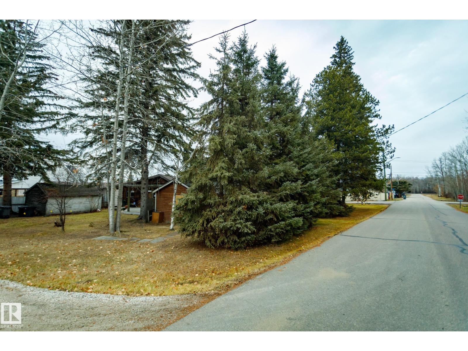 4708 44 St, Rural Lac Ste. Anne County, Alberta  T0E 0A0 - Photo 10 - E4466512