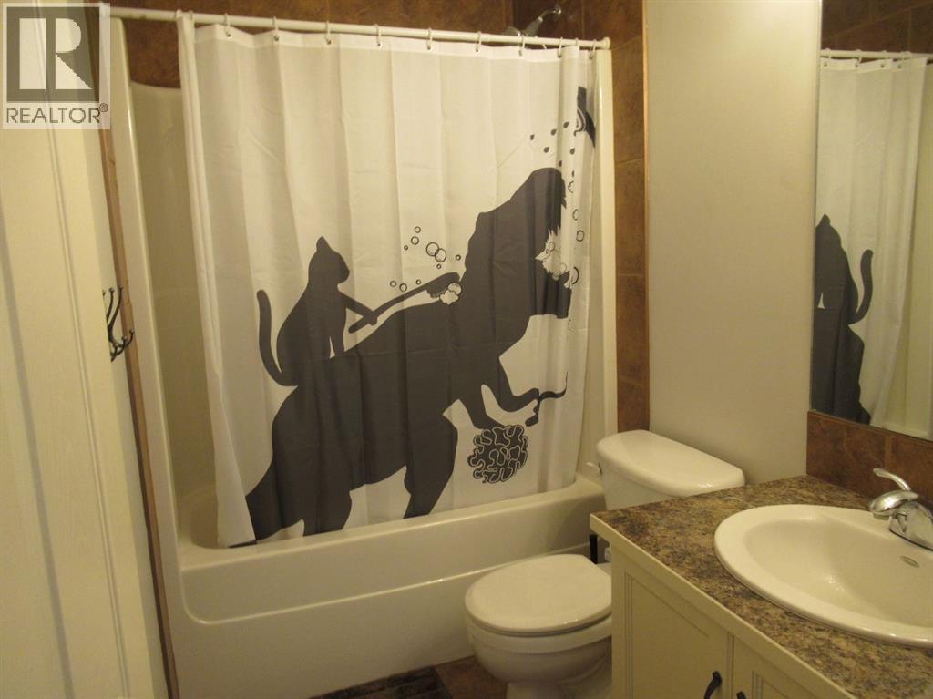 105 Cimarron Park Circle, Okotoks, Alberta  T1S 2H5 - Photo 24 - A2265627