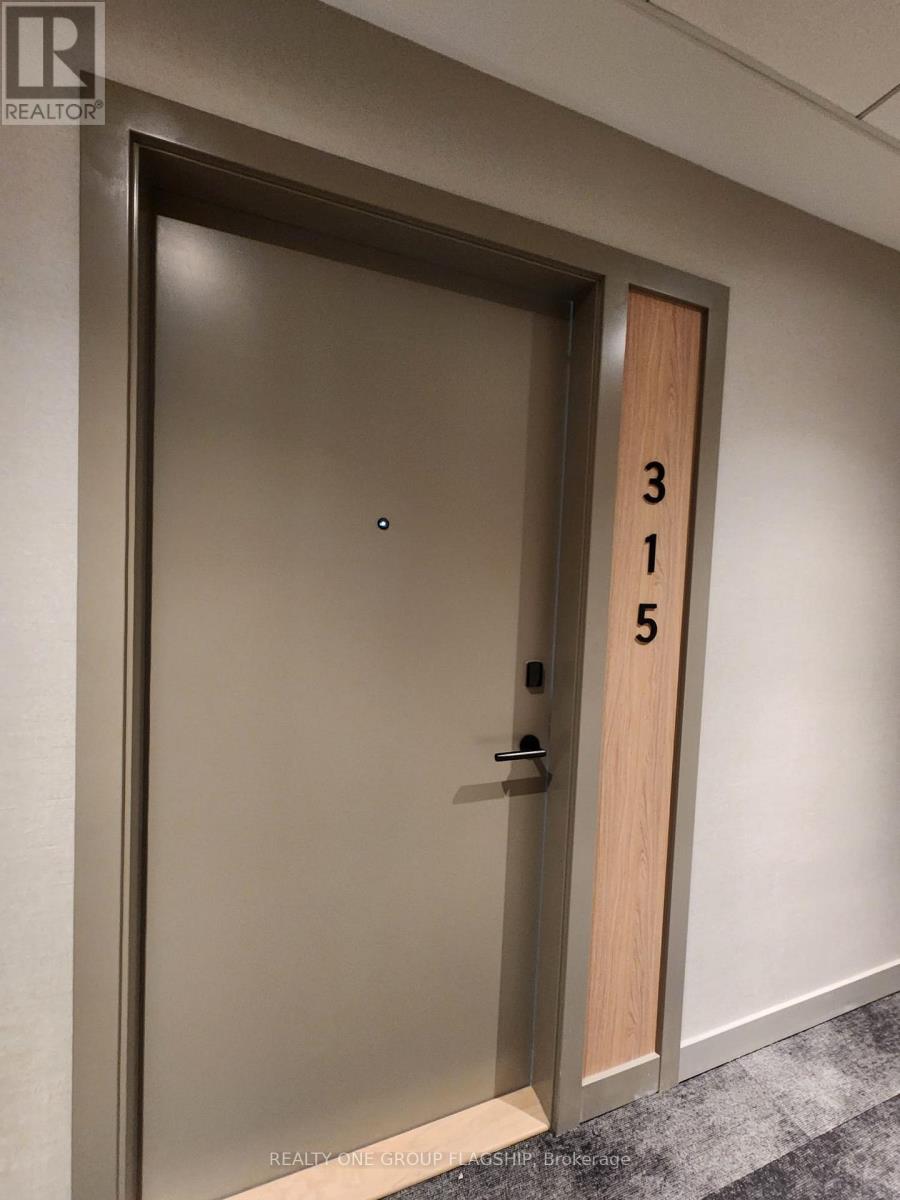 315 - 720 Whitlock Avenue E, Milton, Ontario  L9T 2X9 - Photo 2 - W12577412