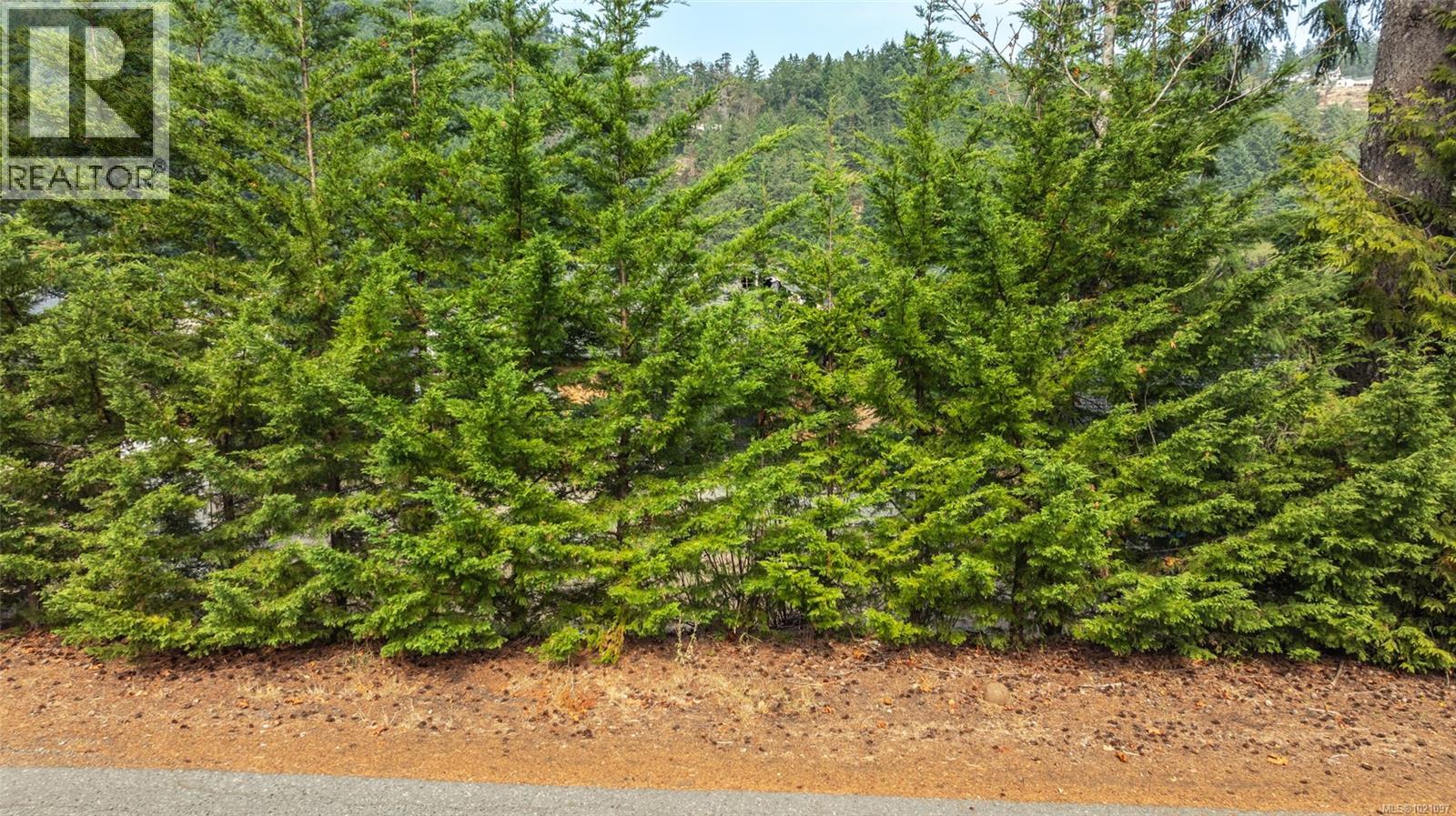 3490 Hillside Ave, Nanaimo, British Columbia  V9T 2Y8 - Photo 10 - 1021097