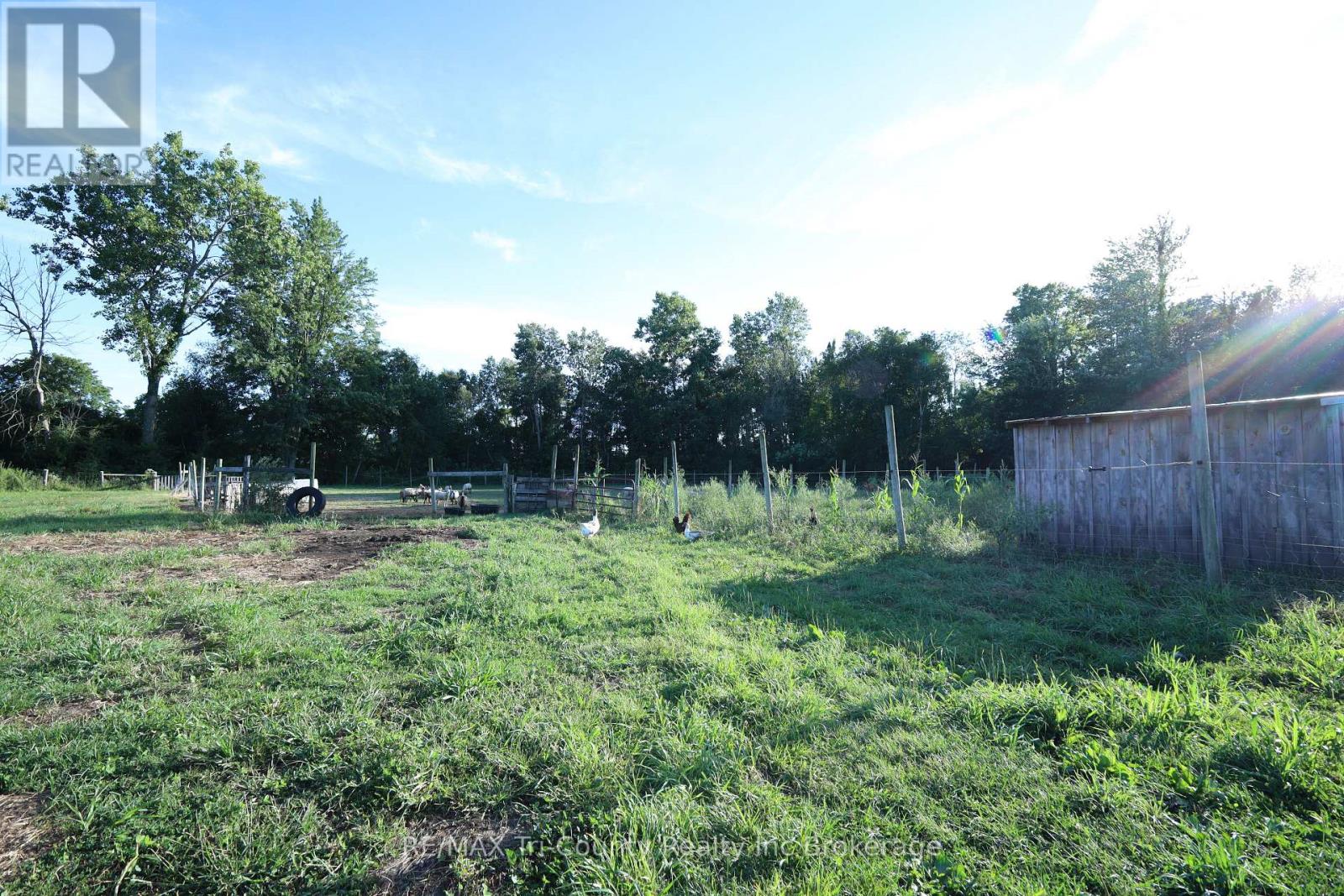 853 Norfolk County 28 Road, Norfolk, Ontario  N0E 1G0 - Photo 35 - X12577512