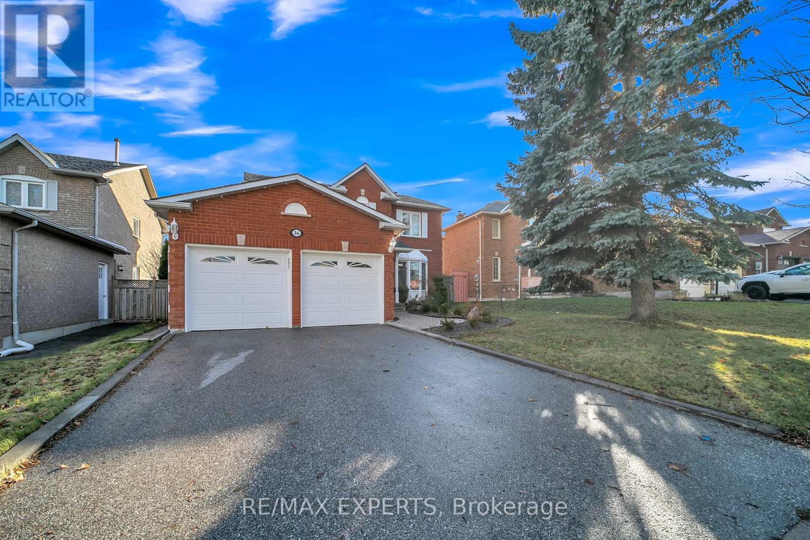 Main - 36 Savage Road, Newmarket, Ontario  L3X 1P7 - Photo 2 - N12577586