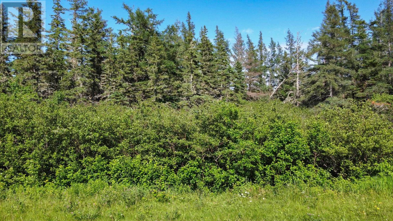 Acreage Strathcona Road, Forest Hill, Prince Edward Island  C0A 1G0 - Photo 11 - 202528556