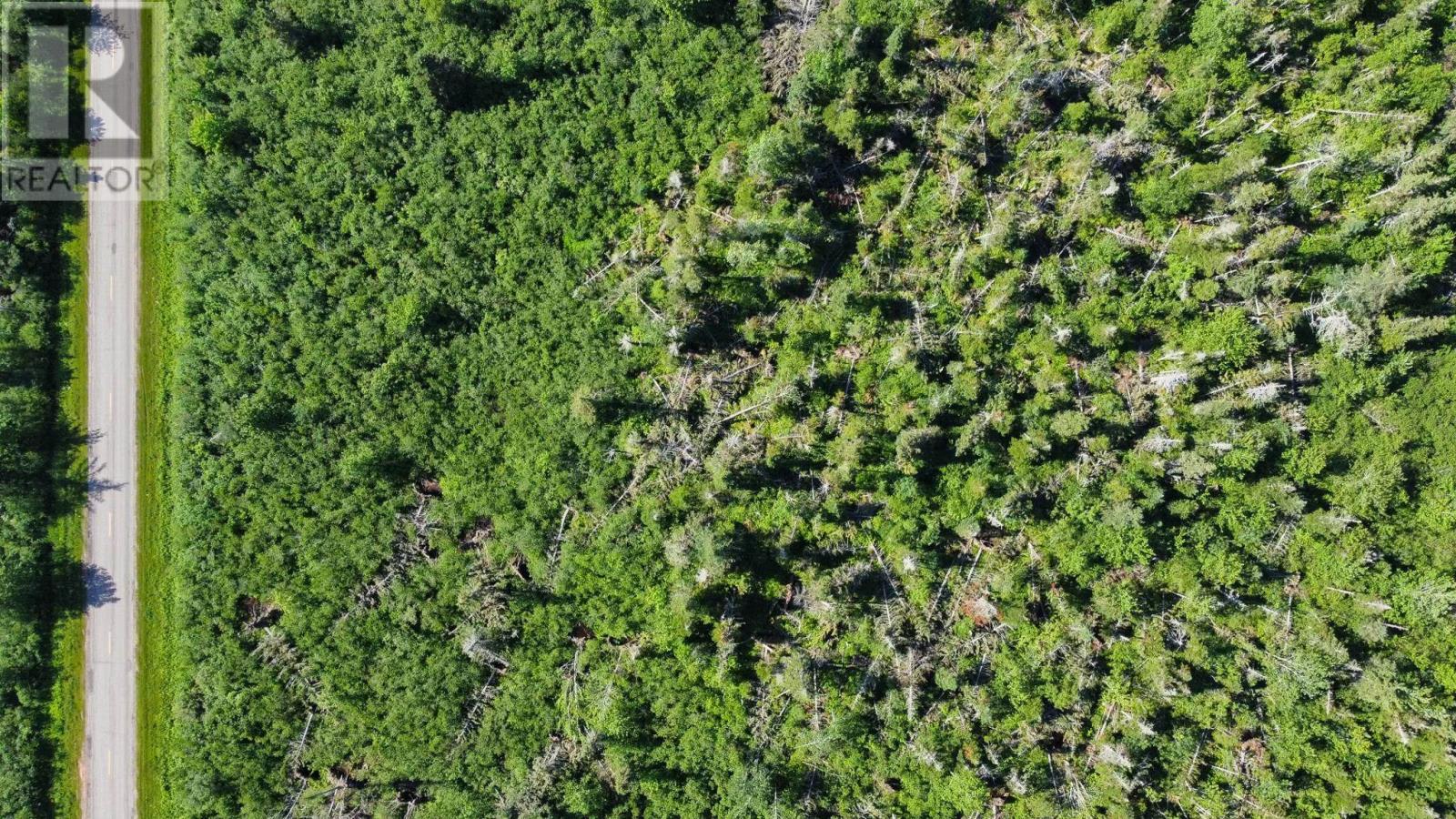 Acreage Strathcona Road, Forest Hill, Prince Edward Island  C0A 1G0 - Photo 14 - 202528556