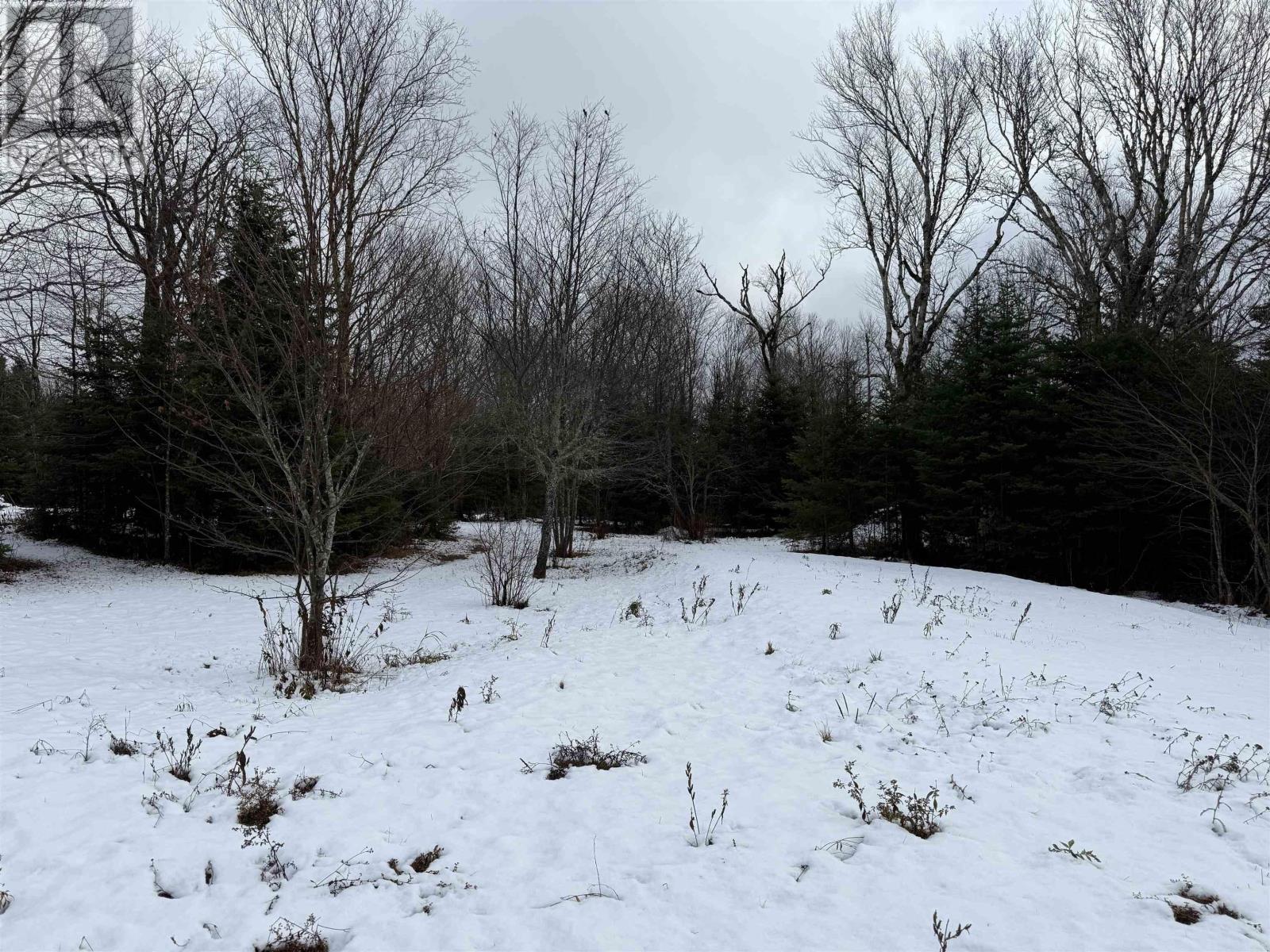 15 Wyllies Lane, Sutherland Lake, Nova Scotia  B0M 1M0 - Photo 29 - 202528136