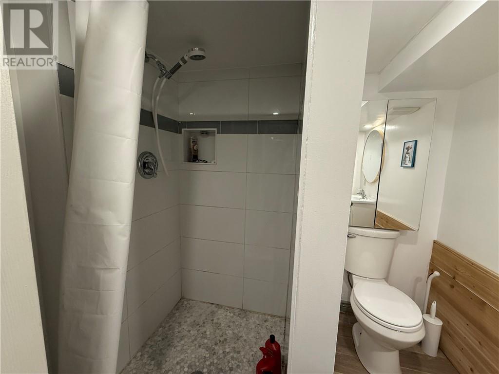 383 Morin Avenue, Sudbury, Ontario  P3C 5A4 - Photo 21 - 2125780