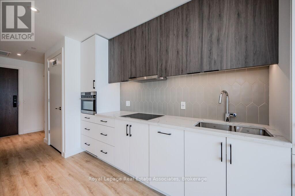 203 - 741 King Street W, Kitchener, Ontario  N2G 1E5 - Photo 29 - X12577580