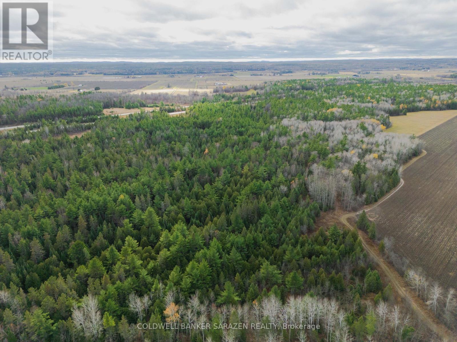 00 Scheel Drive W, Mcnab/braeside, Ontario K7S 3G8 - Photo 8 - X12236635