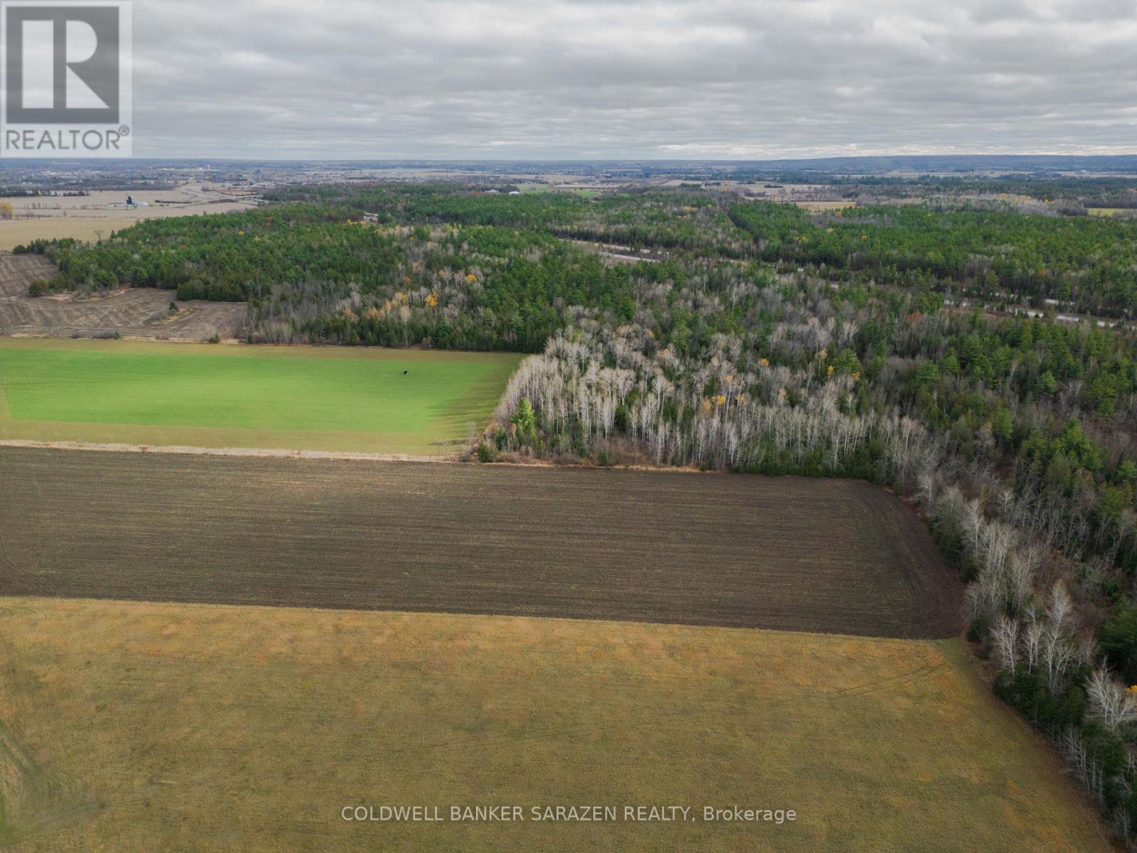 00 Scheel Drive W, Mcnab/braeside, Ontario K7S 3G8 - Photo 10 - X12236635