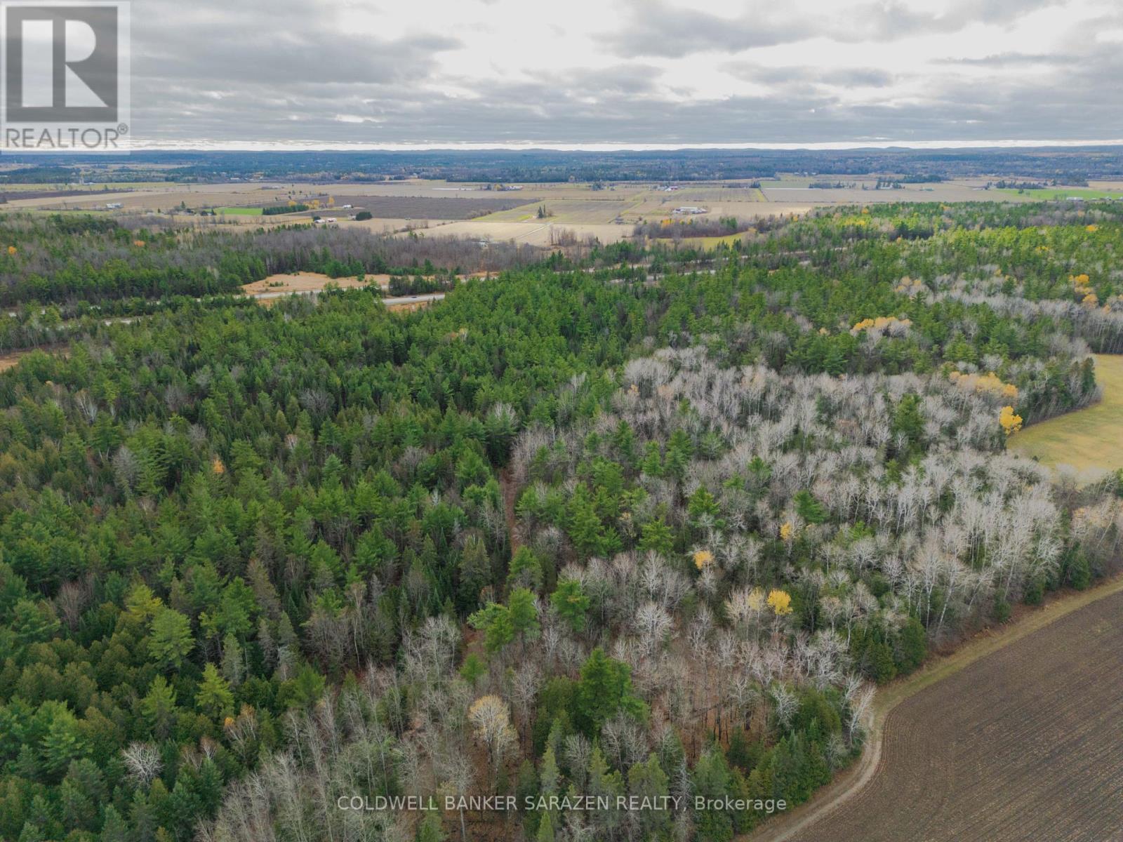 00 Scheel Drive W, Mcnab/braeside, Ontario K7S 3G8 - Photo 6 - X12236635