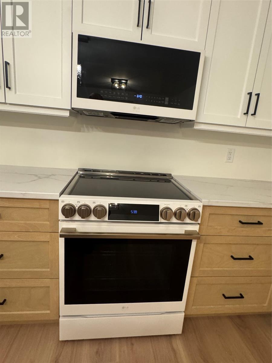 59 Michener Avenue, Mount Pearl, Newfoundland & Labrador  A1N 4A2 - Photo 20 - 1292913