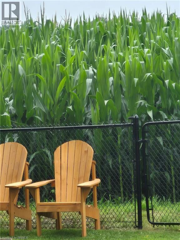 33 Dufferin Street, Burford, Ontario  N0E 1A0 - Photo 32 - 40790327