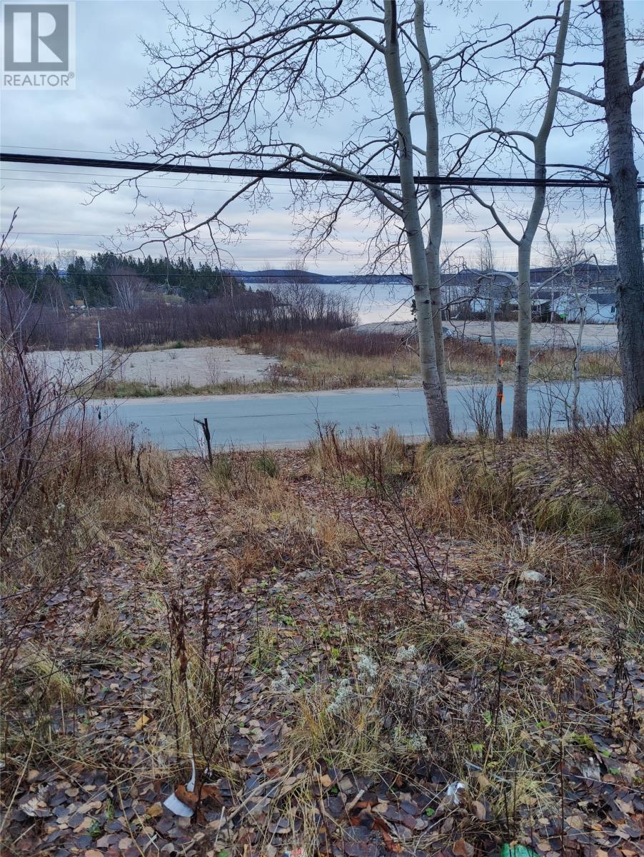 89 Main Street N, Glovertown, Newfoundland & Labrador  A0G 2L0 - Photo 1 - 1292918