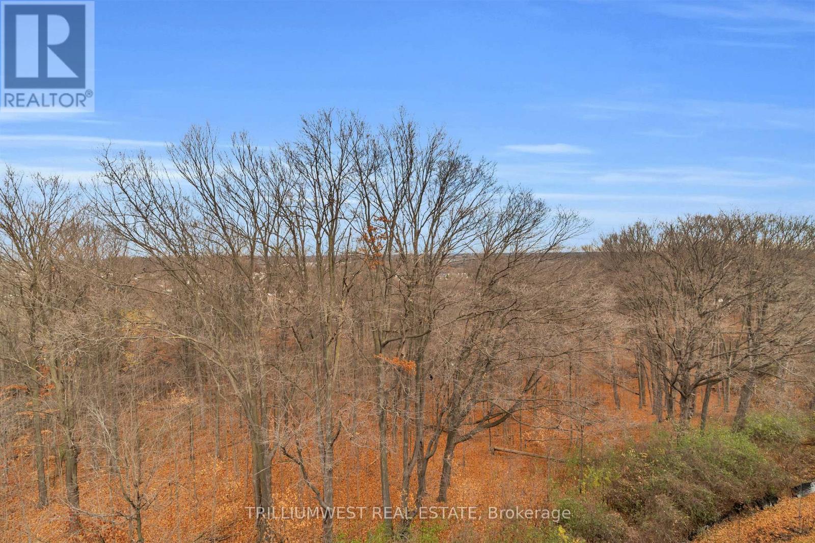 503 - 1100 Lackner Place, Kitchener, Ontario  N2A 0M1 - Photo 17 - X12577626