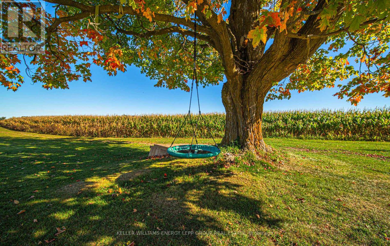 305 Glenarm Road, Kawartha Lakes, Ontario  K0M 2T0 - Photo 3 - X12577824