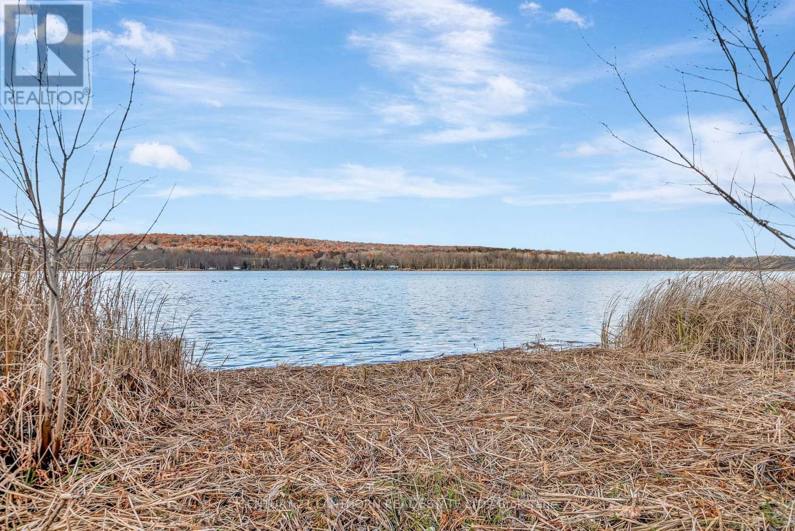 823 Frankford-Stirling Road, Quinte West, Ontario  K0K 2C0 - Photo 44 - X12577878