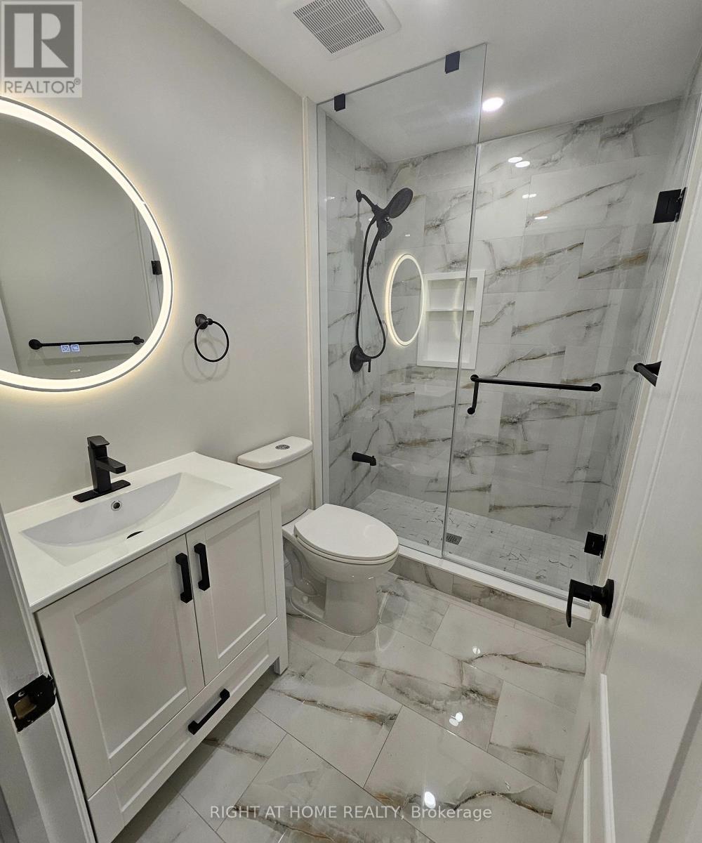 Basement - 85 Onyx Court, Hamilton, Ontario  L8W 4A3 - Photo 6 - X12577754