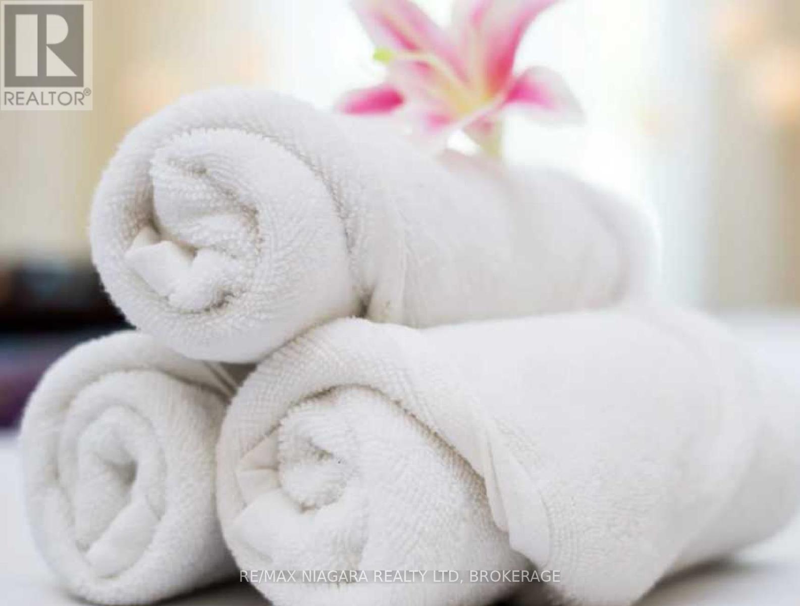 169 Ontario Street, St. Catharines (Downtown), Ontario  L2R 5K2 - Photo 3 - X12577980