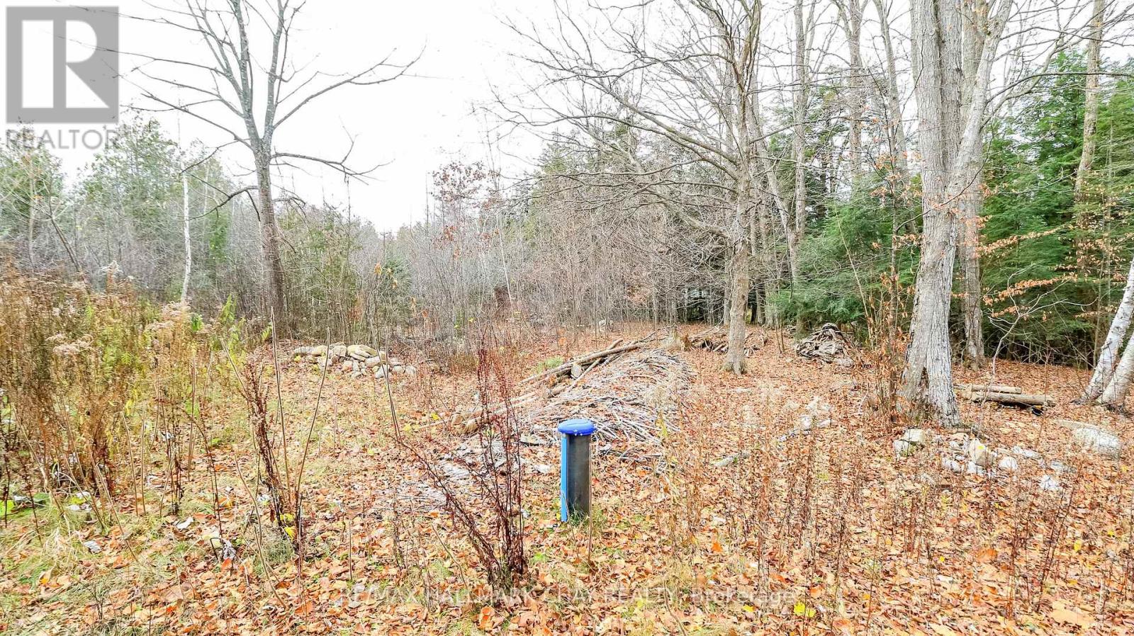 2576 Champlain Road, Tiny, Ontario  L9M 0C9 - Photo 5 - S12577892