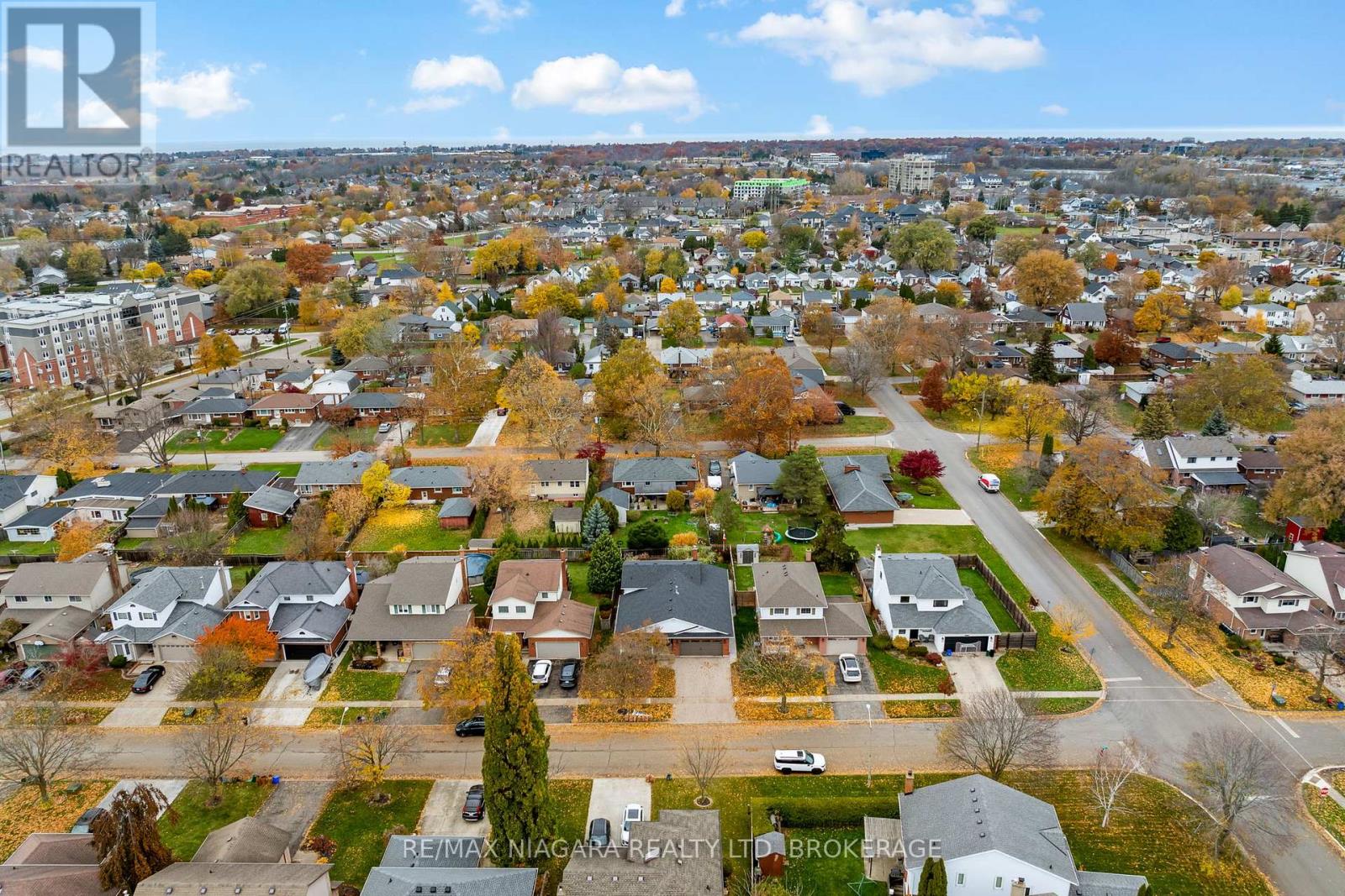 22 Michelle Drive, St. Catharines (Grapeview), Ontario  L2S 3G7 - Photo 36 - X12578058