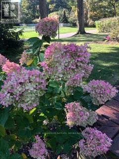 4912 Brown Road, Fort Erie, Ontario  L0S 1N0 - Photo 21 - X12479269