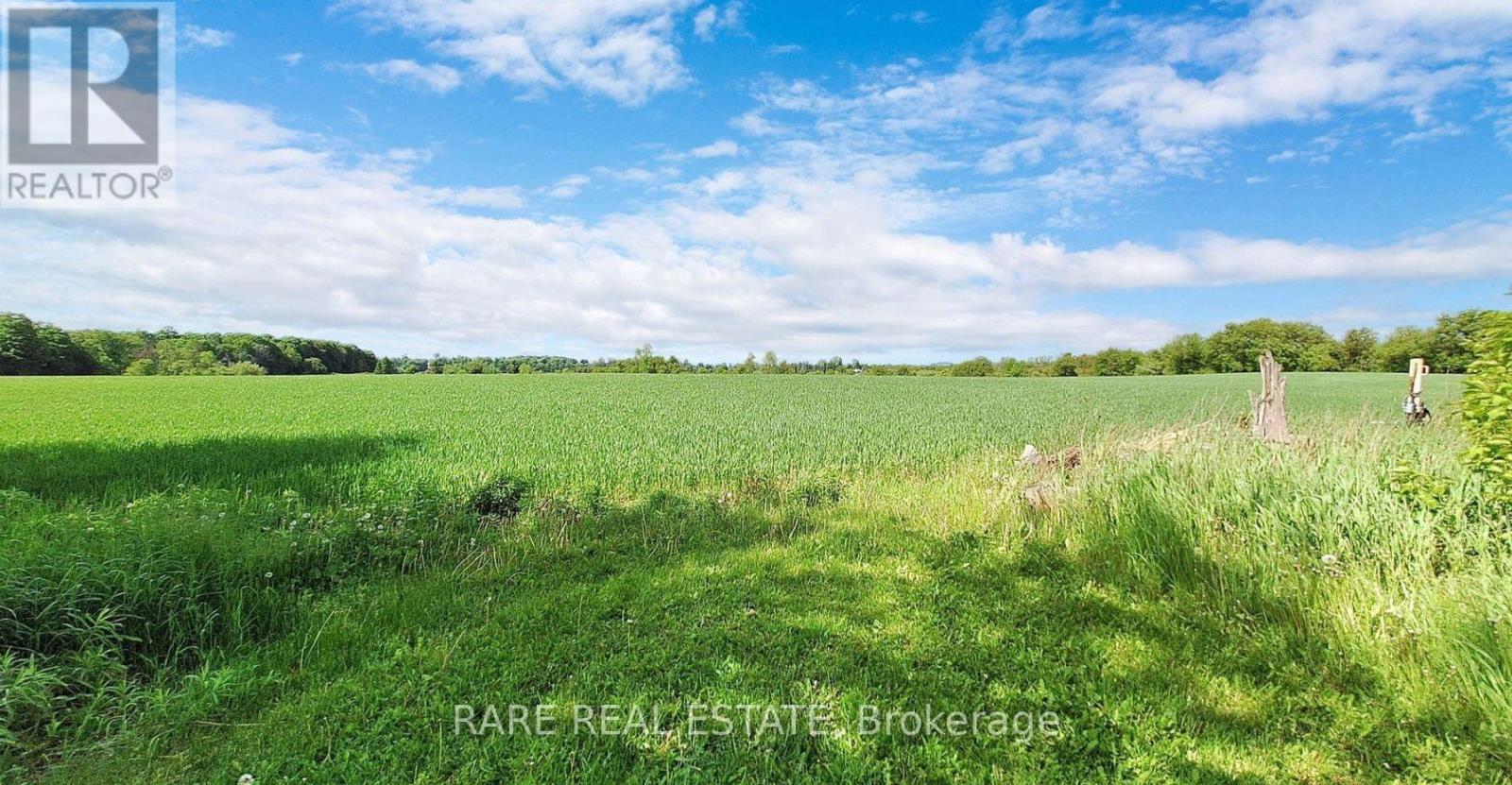 4616 Highway 89, Innisfil, Ontario  L0L 1L0 - Photo 29 - N12503960