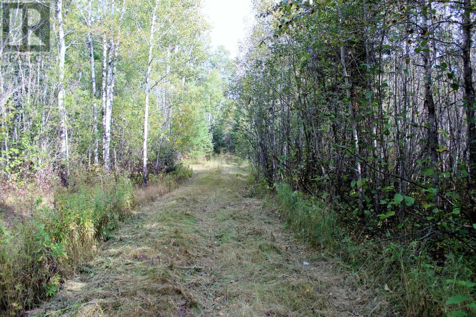 Pcl 19648 Southerland 1 Rd, Pinewood, Ontario  P0W 1K0 - Photo 33 - TB252976