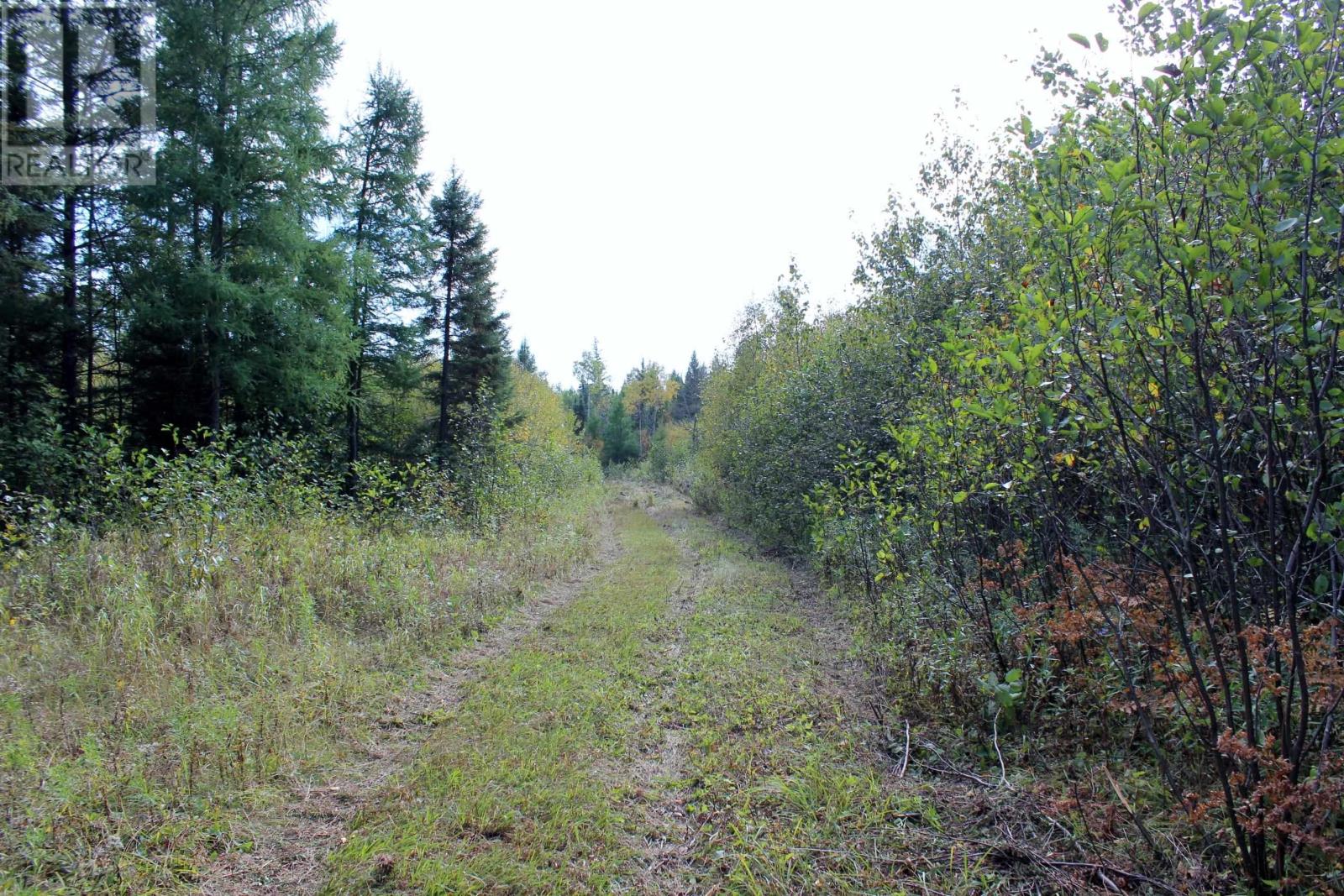 Pcl 19648 Southerland 1 Rd, Pinewood, Ontario  P0W 1K0 - Photo 37 - TB252976