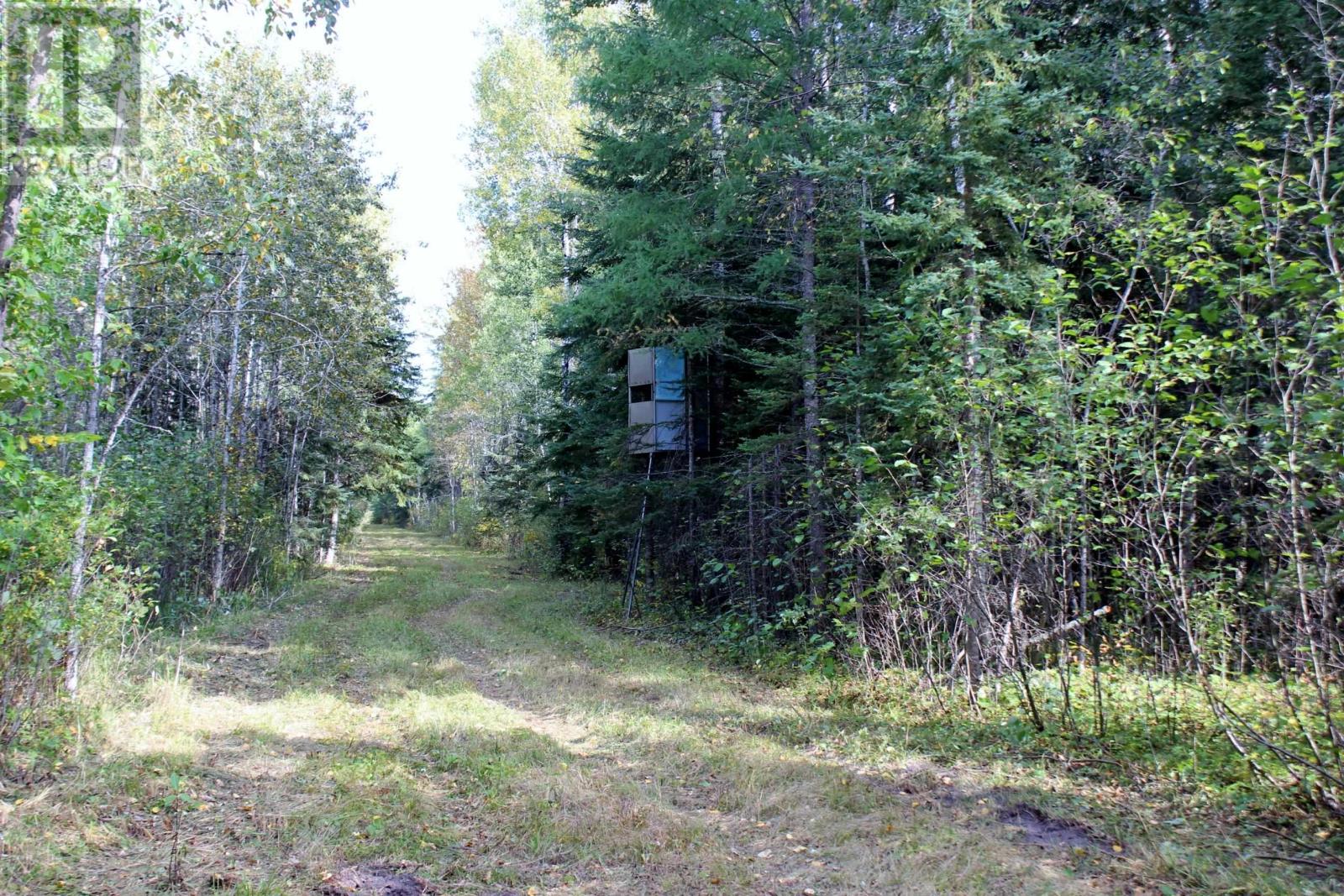 Pcl 19648 Southerland 1 Rd, Pinewood, Ontario  P0W 1K0 - Photo 34 - TB252976