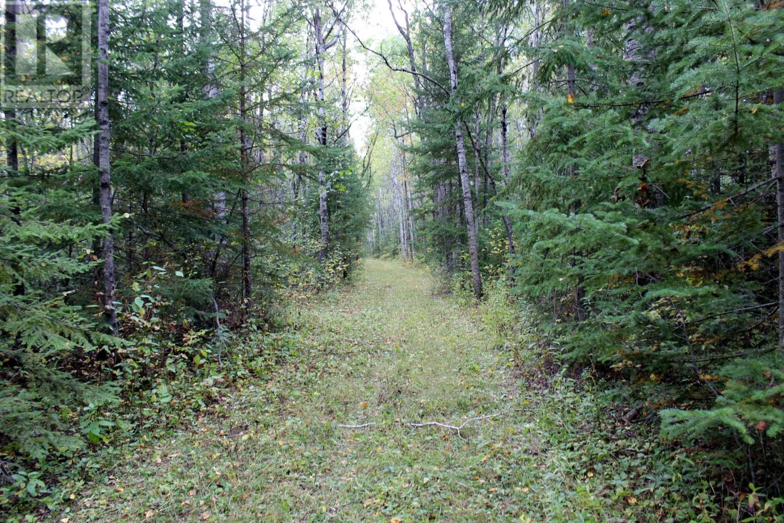 Pcl 19648 Southerland 1 Rd, Pinewood, Ontario  P0W 1K0 - Photo 46 - TB252976