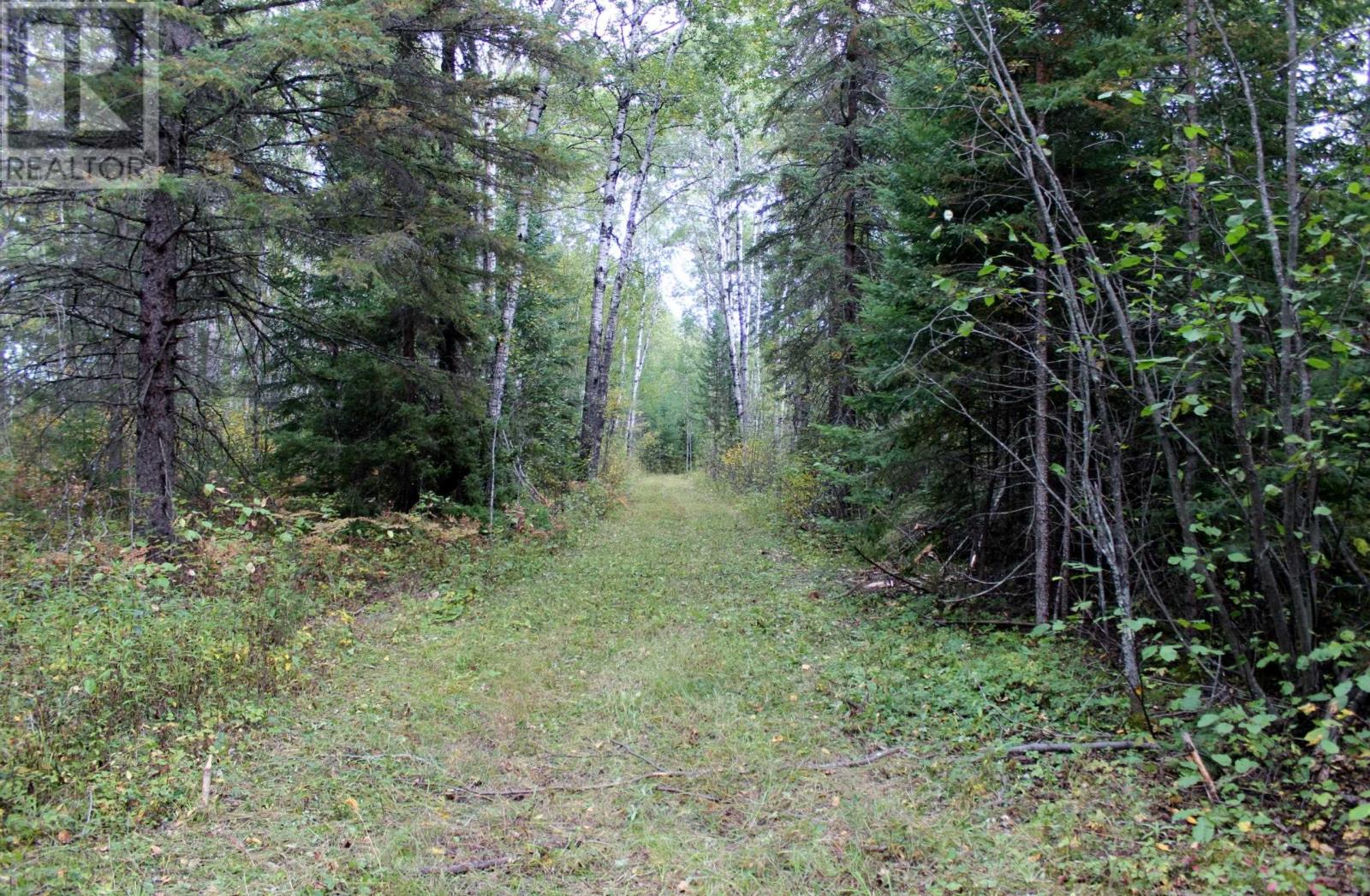 Pcl 19648 Southerland 1 Rd, Pinewood, Ontario  P0W 1K0 - Photo 47 - TB252976