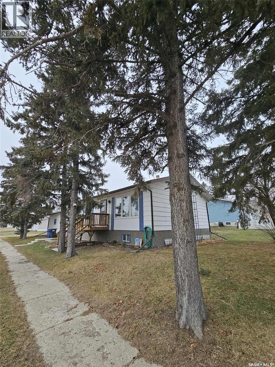 219 Carl Avenue E, Langenburg, Saskatchewan  S0A 2A0 - Photo 41 - SK018401