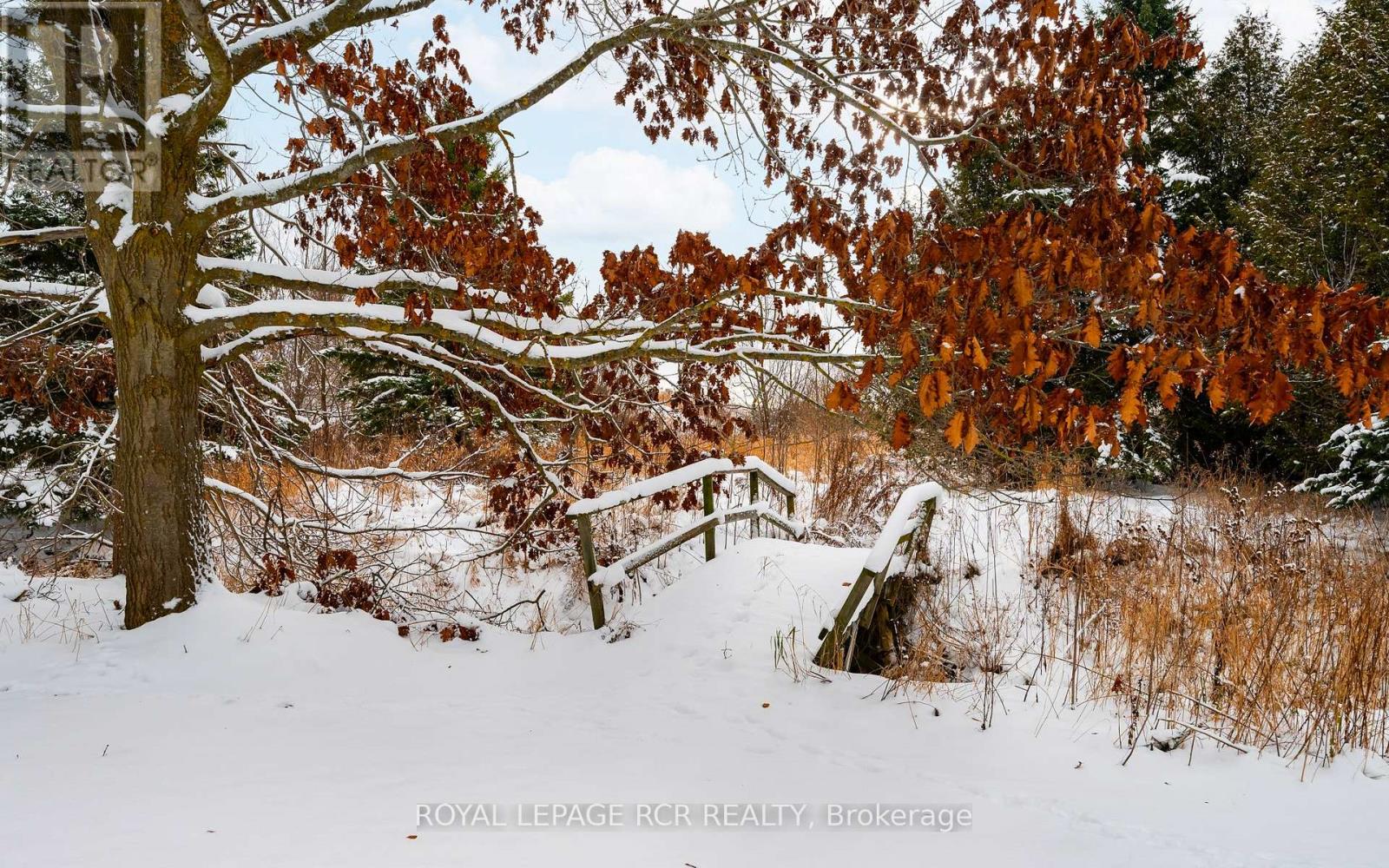 127 Franklyn Street, Shelburne, Ontario  L9V 3C3 - Photo 34 - X12578436