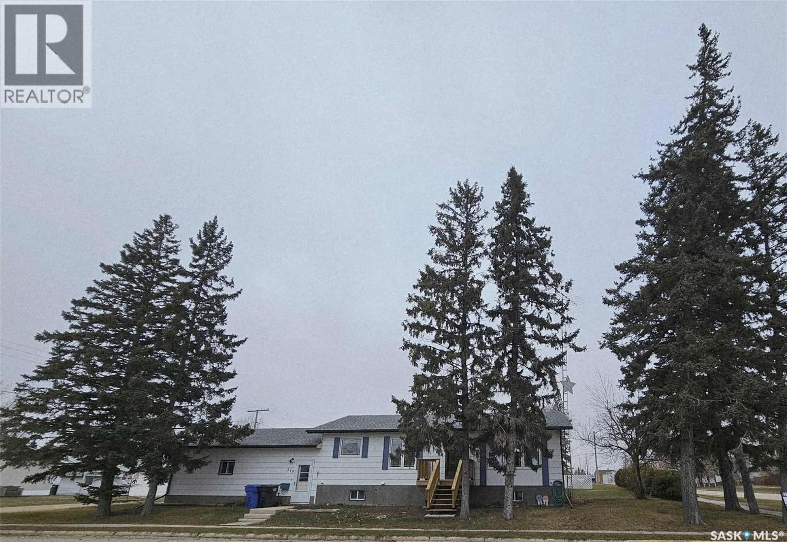 219 Carl Avenue E, Langenburg, Saskatchewan  S0A 2A0 - Photo 44 - SK018401
