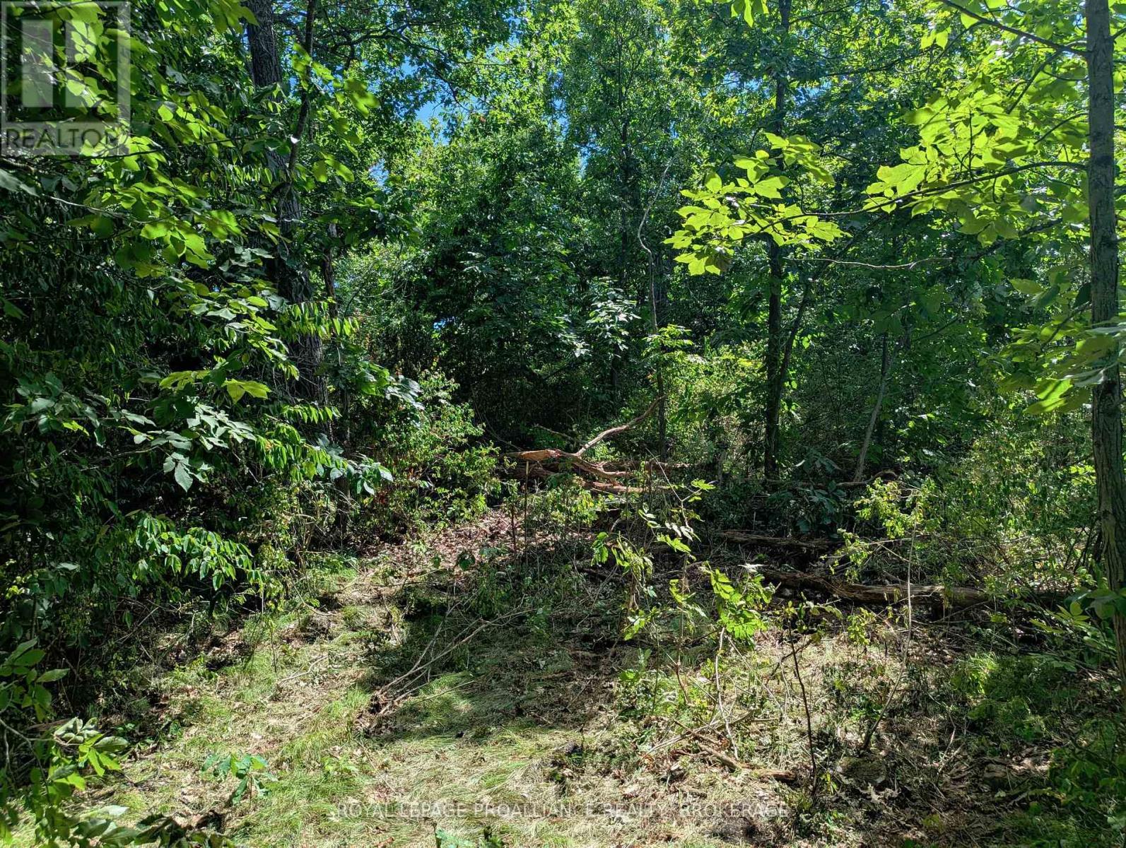 2620 4th Concession Road, Kingston, Ontario  K0H 1Y0 - Photo 6 - X12303276